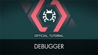 The Debugger